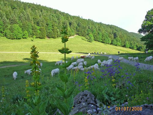 dans le col de la Biche 2008 Défi Bugiste