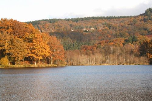 Etang de la Papeterie Saint Sulpice Laurière