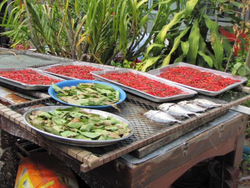 Kho Panee - Phang Nga Bay - poissons et piments séchés