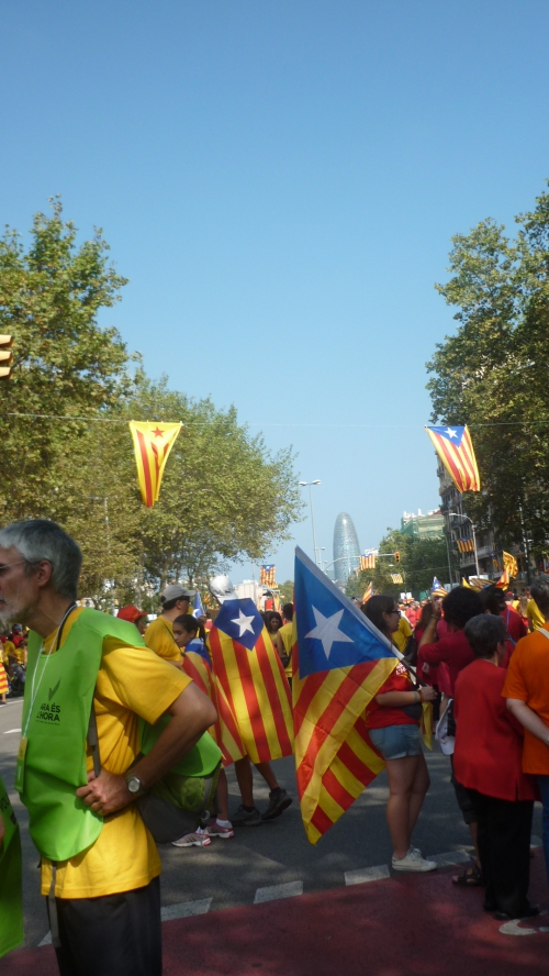 P1020769.JPG