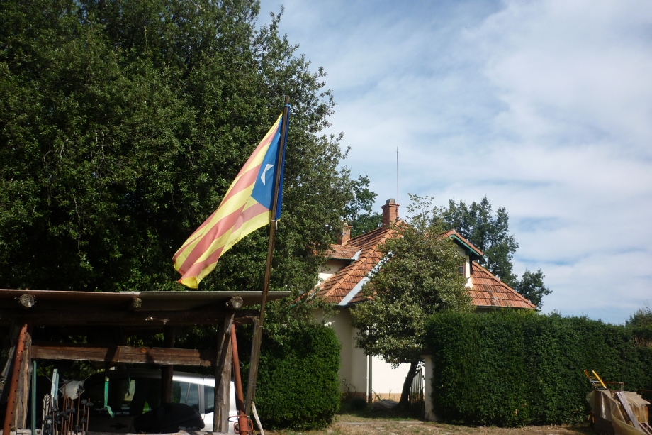 P1030941.JPG