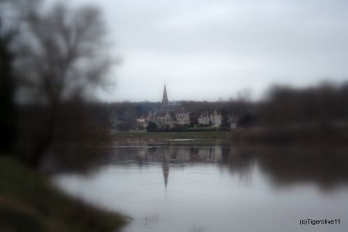 Loire d'hiver