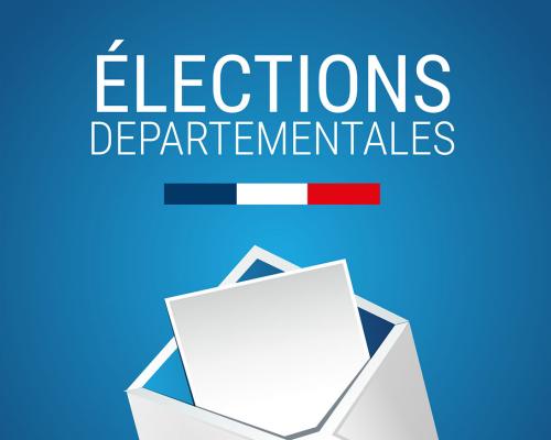 election-departementale-viepublique.fr_.jpg