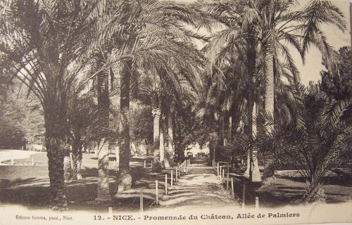 06 Nice - Promenade du château - allée des palmiers.