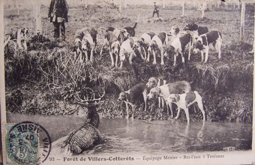 chasse - équipage Menier à Troësnes