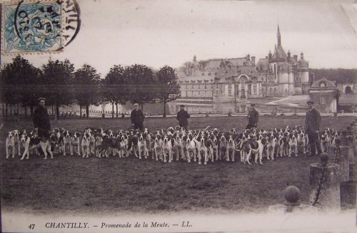 Chantilly - Chasse - promenade de la meute