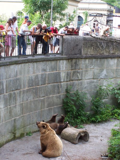 La célébre fosse aux ours, symbole de la ville