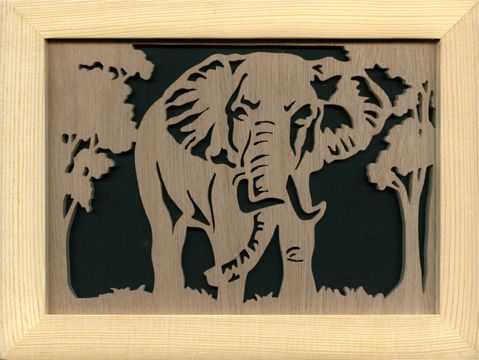 Elephant dans la foret