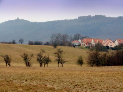 Vue du terrain depuis la ZAC