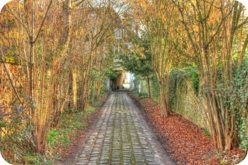 Ruelle Abandonnée 