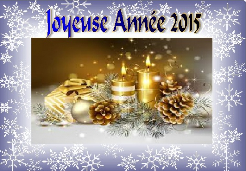 Bonne Année 2015.jpg