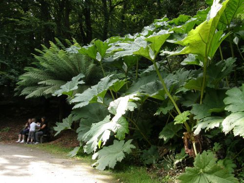 Conservatoire botanique de Brest