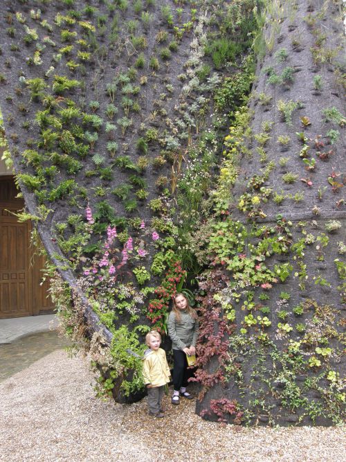 mur végétale