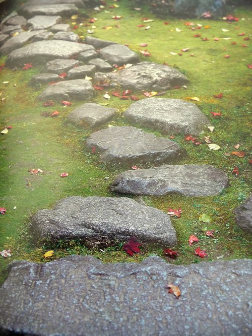Quelques pierres disposées de façon naturelle, invite à la promenade sur ce tapis d'Elxine.