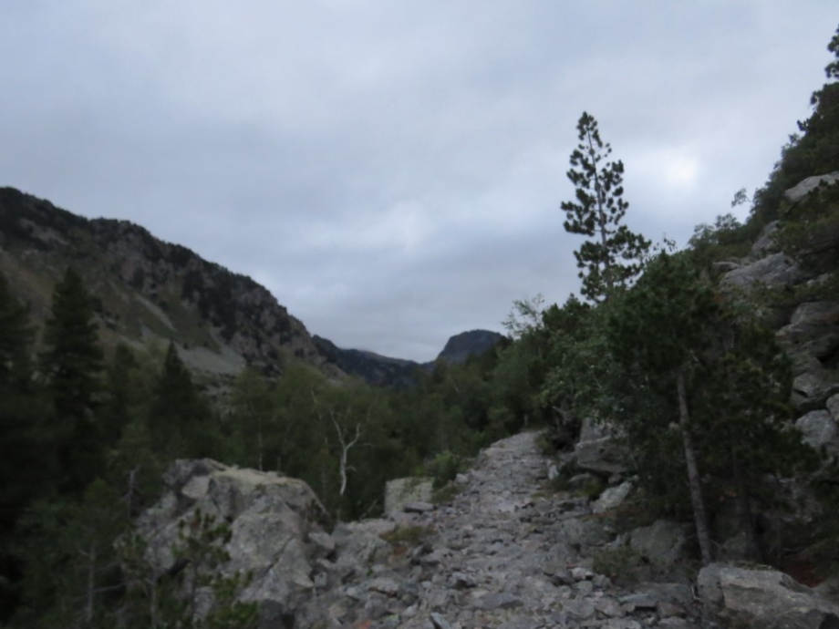 IMG_4712.JPG