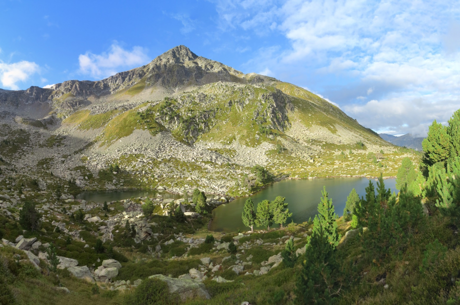IMG_4731_stitch.jpg