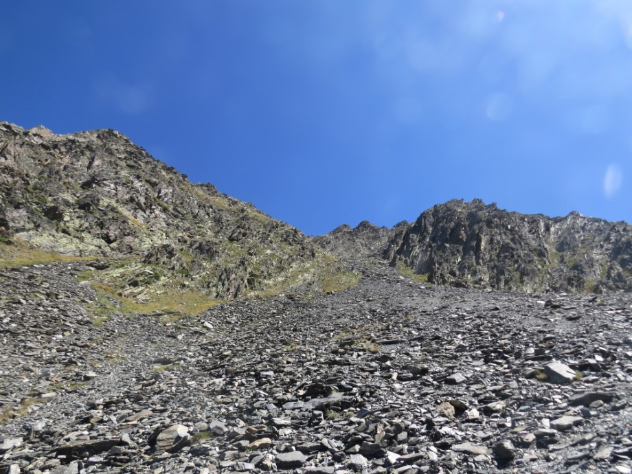 IMG_4805.JPG