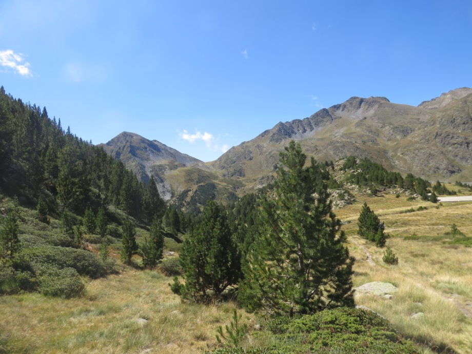 IMG_4813.JPG