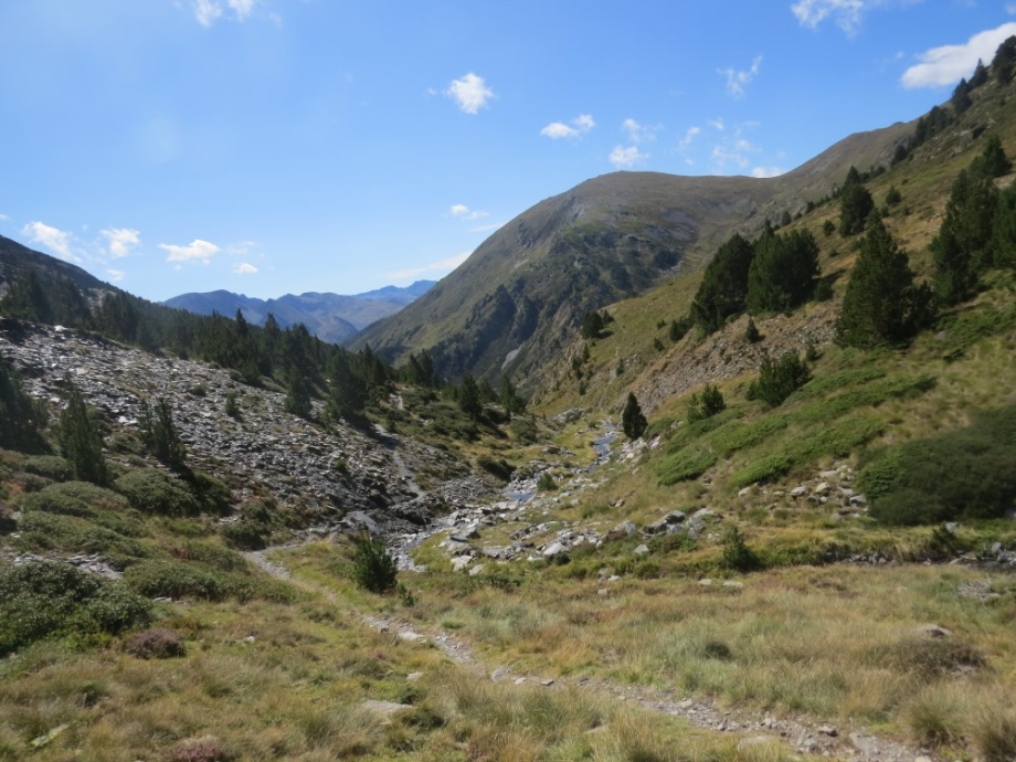 IMG_4826.JPG