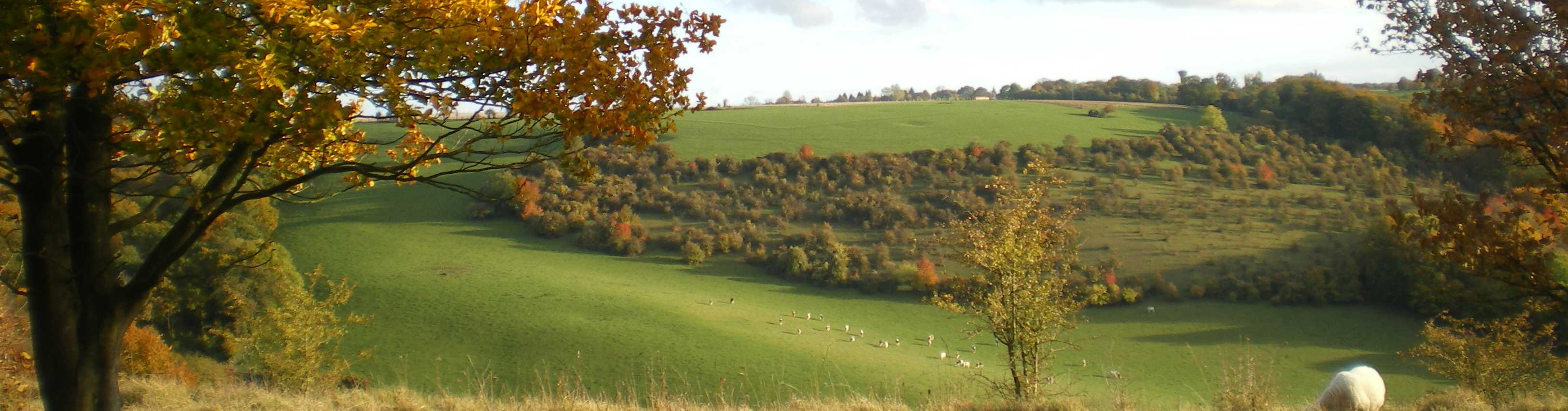 Le Pays de Bray Picard