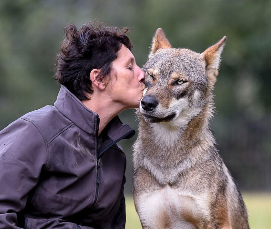 loup.jpg