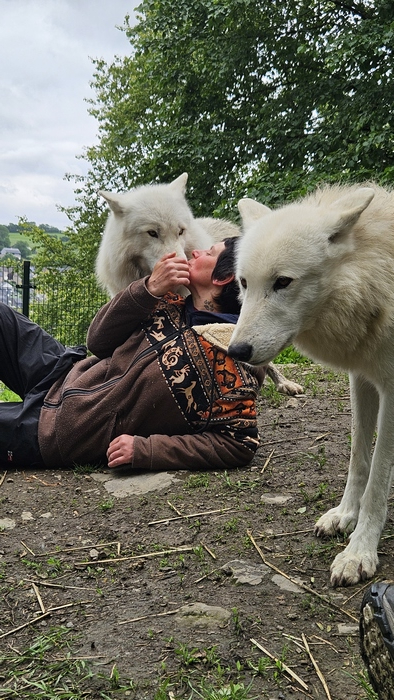 Vic avec Bo et Elliot loup blanc arctique