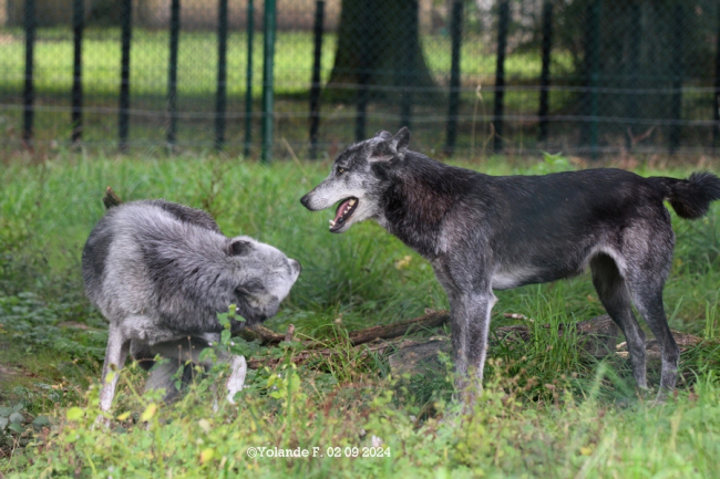 Freya  et Hoonah