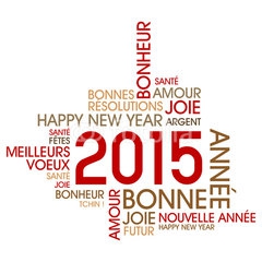 bonne-annee-20151.jpg