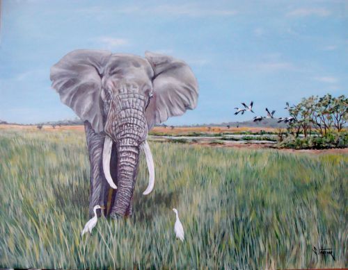 éléphant 100x80