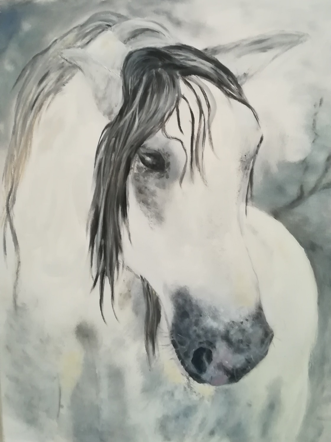 Annie CALAS 2017 - Le cheval gris