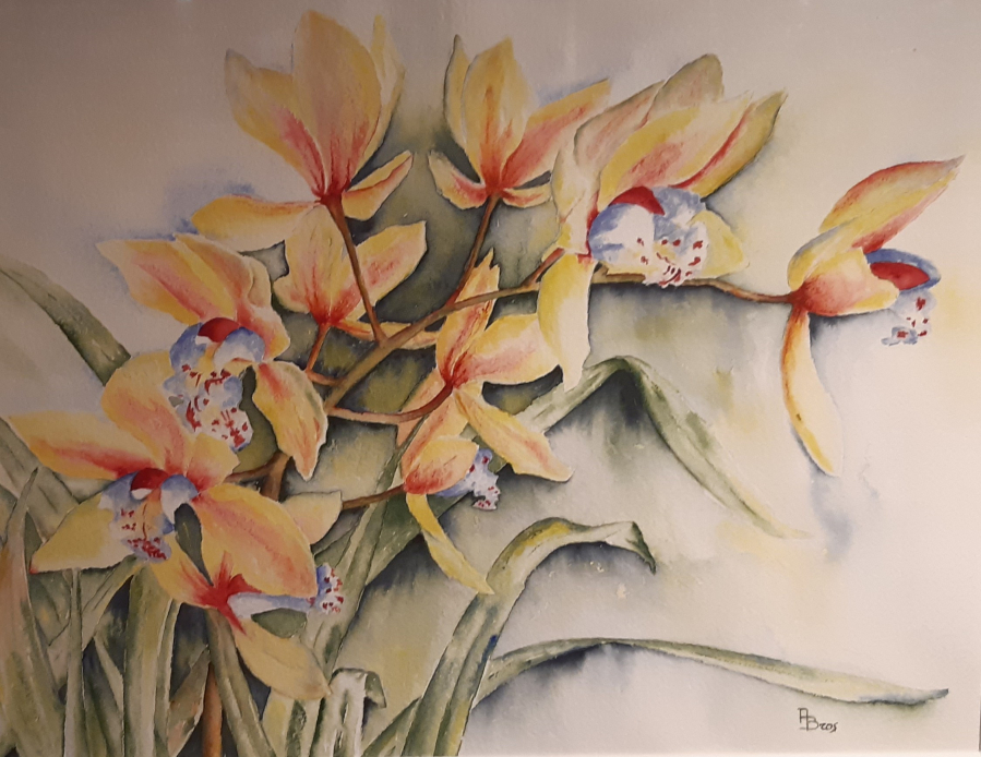 Arlette BROS - 2024  -L'orchidée