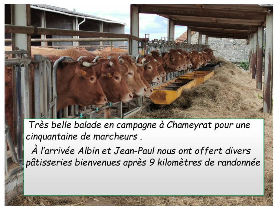 article Chameyrat