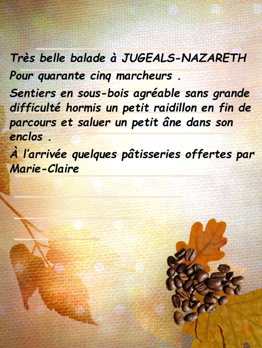 article Jugeals