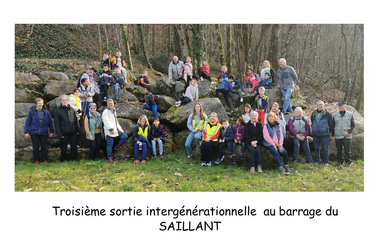 Composition1Article SAILLANT