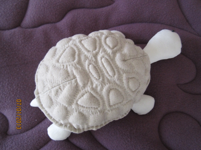 TORTUE 003.jpg