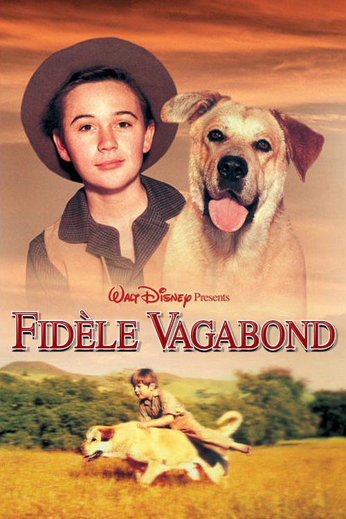 Fidele_vagabond.jpg