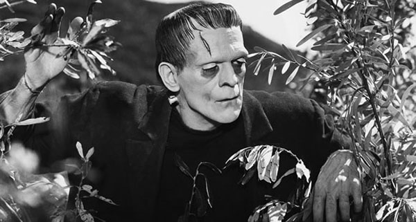 frankenstein-boris-karloff1.jpg