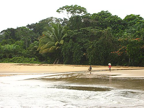 RÉGION COMMUNAUTAIRE D'ÉLOMBO CAMPO (ROCHER DU LOUP) : UNE VUE DE L'EMBOUCHURE DE LA RIVIÈRE ÉBODJÈ À ÉBODJÉ ÉLOMBO CAMPO AVEC AU FOND LA PLAGE DU QUARTIER TALLA.