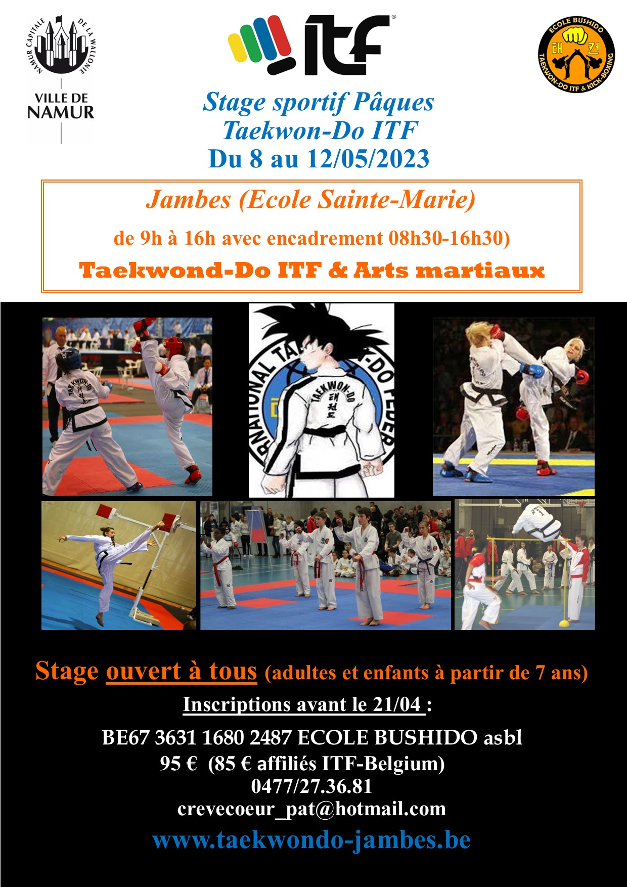 affiche stage TKD ITF Paques 2023