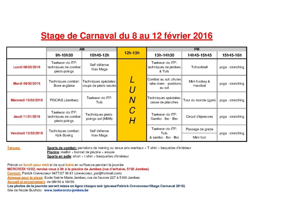 programme stage carnaval 2016.jpg