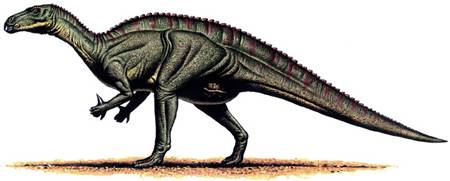 iguanodon2.jpg