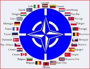OTAN.jpg
