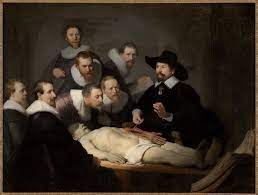 rembrant -dissection.jpg