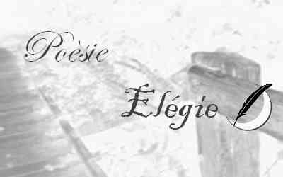 Vignette - ELEGIE