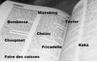 Dictionnaire nouveaux mots....PNG