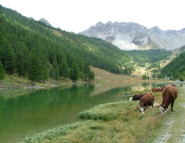 Lac de l'Orceyrette.PNG