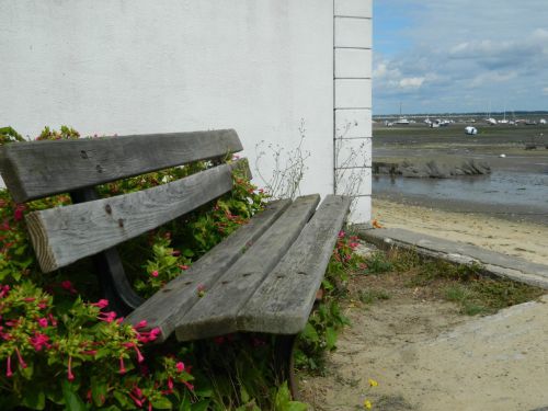 cap ferret