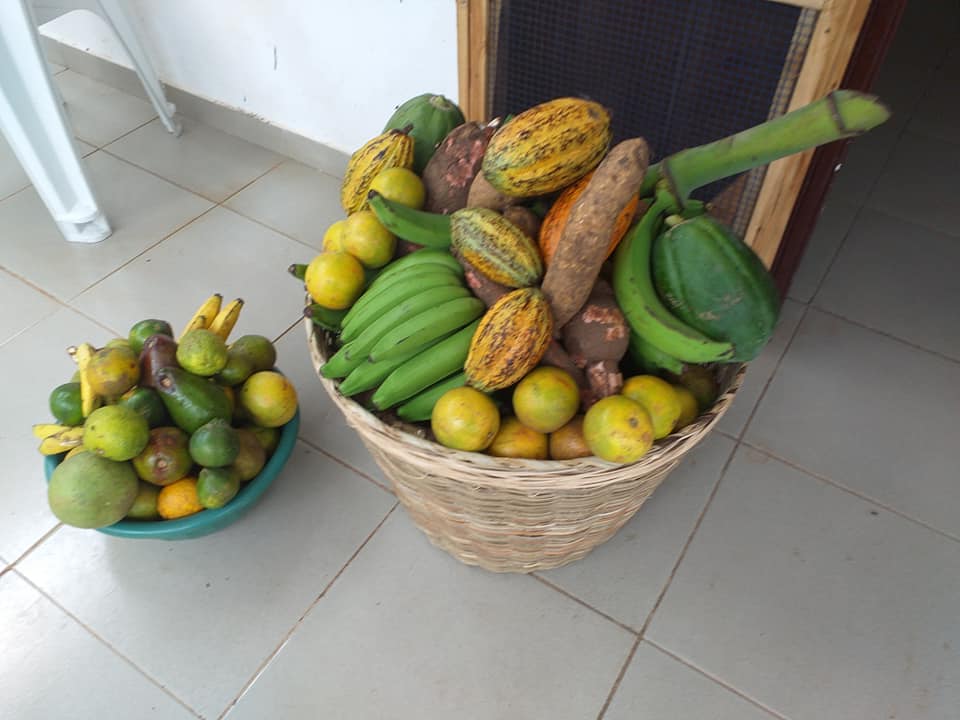 Les fruits bio de ma région Kpalimé
