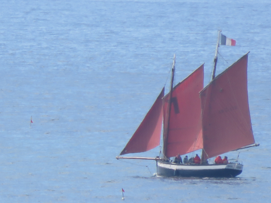 Corrèze 2019 (3) et récup antérieure 348.JPG