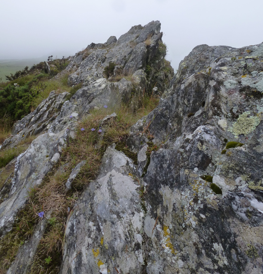 juin2012 monts d'arrée land art sy yviec 182pm.jpg